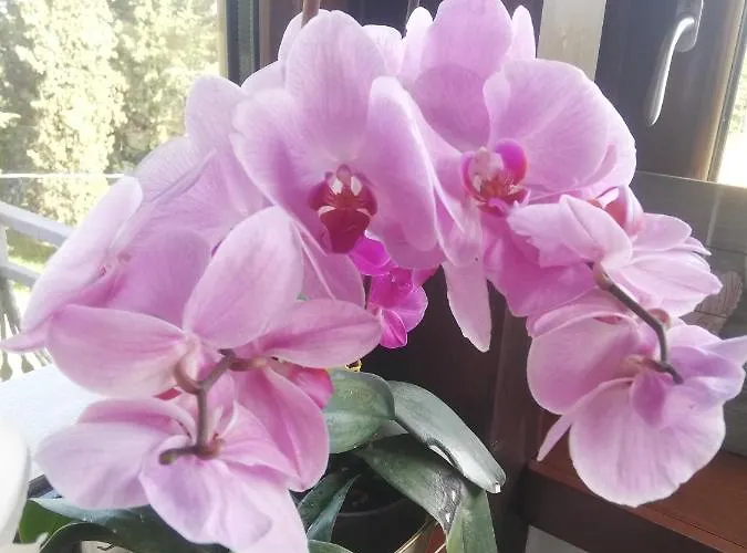 Il Sospiro 3* Satriano di Lucania